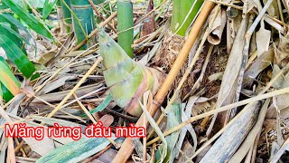 1 mình trong rừng . Tập 1 - rừng mùa mưa