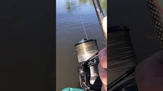 Amazing Sound #carpfishing #fish #fishing #hobby #carp #boilies #fox #daiwa #tigernuts #korda