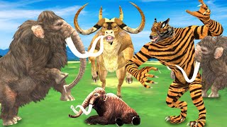 2 Giant Buffaloes Fight Wolf Attack Cow Cartoon Saved by Tiger Bull Woolly Mammoth Elephant Vs Wolf