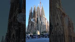 Barcelona Cathedral, Spain, have you ever seen such a shocking scene? #travel #europe #landscape