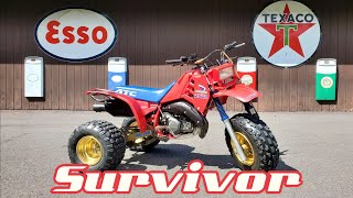 1986 Honda ATC 250R Facelift - Clean up, service, decals, tires, wet sand, buff, ride!!