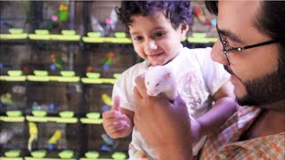 Hani loves Hamster | Funny and Cute Hamster | Hamster in karachi | karachi birds market