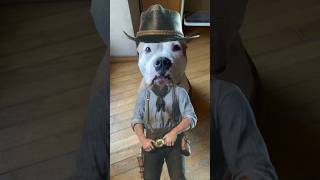 Arthur Morgan? #rdr2 #arthurmorgan #dog #yourdog #americanbully