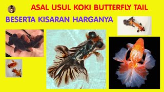 Ikan Mas Koki Butterfly | Ayu Damar Lampu