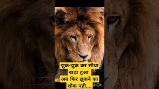 झुक-झुक कर सीधा खड़ा हुआ||#motivation #successquotess #inspirationalquotes #motivational #facts