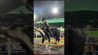 ¡MONTA DE 100MIL PESOS! Niño Maravilla vs Brincos Dieras de Rancho La Revoluzión #jaripeo