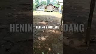 rumah dikelilingi pohon yang rindang pas untuk ngadem #short