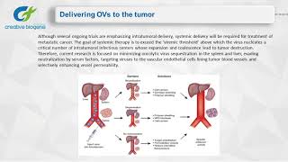 Oncolytic Virotherapy