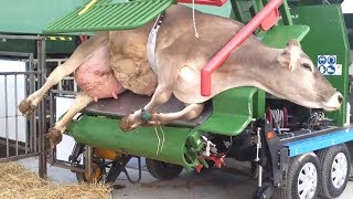 World Modern Technology Automatic Cow Shoeing and Cleaning Mega Machine Factory on Wheels