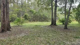 Hurricane Nate Aftermath: Behind the Scenes