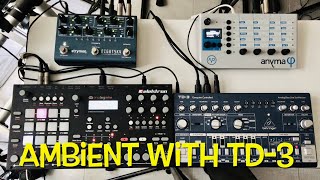 “Ambient with TD-3” by Friendly Noise