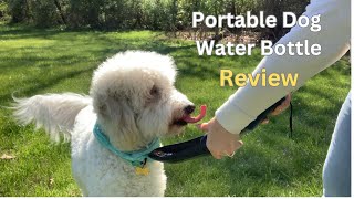 Best Dog Water Bottle