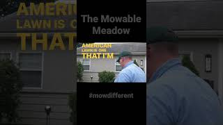 Reprogram the lawn meme. #mowdifferent #lawns #meadows