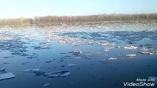 Ледоход. Уровень воды в Бии.  Пошел лед на реке. Набережная поселка Молодежный