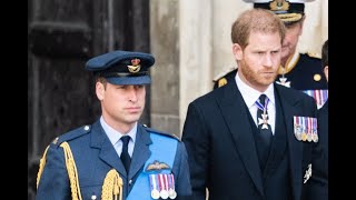 Prince Harry told to do one thing to repair relationship with William