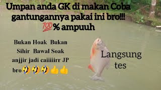 💯% ampuh Lihat Hasilnya..!!Gantungan umpannya wajib pakai ini,umpan bawal harian paling jitu