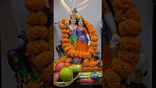 শুভ জন্মাষ্টমী 🙏🙏 #shorts #shortsvideo #janmashtami janmas