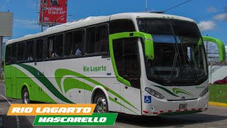 Mascarello Roma 350 Scania | RIO LAGARTO BUSES PZ