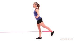 Standing Hip Extension with Resistance