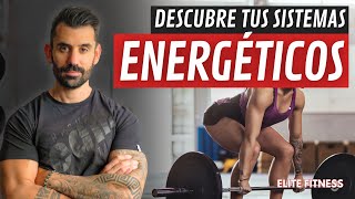 SISTEMAS ENERGÉTICOS: Glucolisis, B-Oxidación de ácidos grasos y Fosfocreatina!