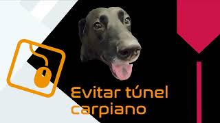 Tips para prevenir el túnel carpiano