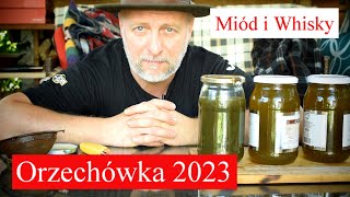 Orzechówka z liści na Whisky. Zioło-miód z orzechów włoskich.