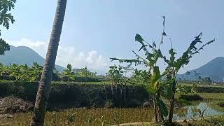 KACAPI  SULING ( Lembur  Pangbalikan)