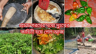 আর মাত্র কয়েকটা দিন আছেন আমাদের সাথে আব্বুকে ফ্রেশ শাক-সবজি রান্না করে খাওয়ালাম Home village blog