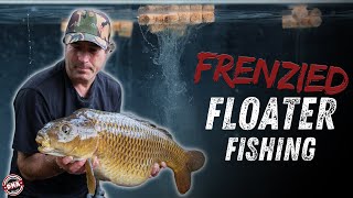 FRENZIED FLOATER FISHING! | DNA BAITS | CARP FISHING | WIN FLOATER BUNDLE!