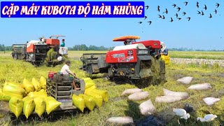 Cặp Máy KUBOTA Độ Hàm , Tốc Độ Siêu Khủng Nhất | Chạy Tốc Độ Quá Nhanh Quá Nguy Hiểm