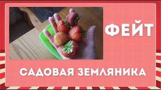 11.07. 2020 Клубника 🍓Фейт🍓 первый урожай. Взвешивание, дегустация.