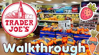 Trader Joe's Haul 2023 | All New Products at Trader Joe's | Trader Joe's Walkthrough 2023