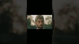 Zayn Malik x Hrithik Roshan whatsapp status🔥call me by your name x brown munde status🔥#zayn #hrithik