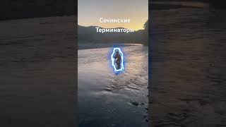 Сочинские терминатоы