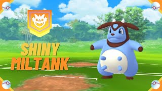 A Wild ✨ Shiny Miltank ✨ Appeared! [Pokemon GO] #shorts