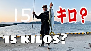 KINGFISH/YELLOWTAIL 15 KILOS LANDED? YELLOWTAIL HUNTING 5瀬戸内海で釣りをしています. ルアーを飲み込んだ私の腕は魚の大きさで捻挫されました