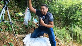 PESCANDO BUENAS TILAPIAS CON AMIGO Y YOUTUBER @pescaconnunez