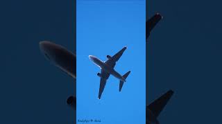 Boeing 767-224(ER) UTair Aviation [RA-73083] approach to Vnukovo (VKO/UUWW) 07.05.2023