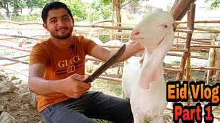 Cooking Full Goat🐐on Bakra Eid Al Adha/Azha Cow Qurbani 2021 | Majid Joza