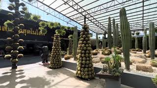 Discover the Wonders of Nong Nooch: A Cactus Garden Adventure!