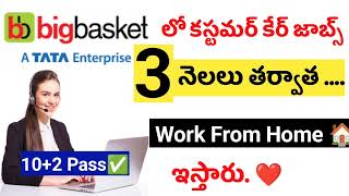 Big basket work from home jobs || work from home jobs in telugu || customer  care jobs | wfh jobs