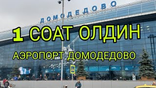 1 СОАТ ОЛДИН АЭРОПОРТ ДОМОДЕДОВО