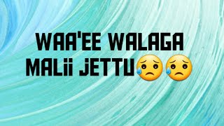 Waa'ee walaagaa Maali jettu umata qashiti??😓