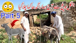 Jangle village sa hamara Donkey kha chala gya 😳