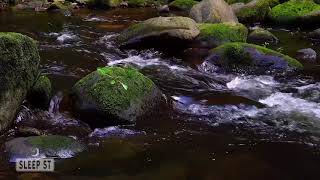 Babbling Brook | Nature ASMR | Running Water Sounds for Meditation, Relaxation & Sleep