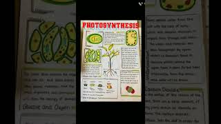 Photosysthesis in plants || food  prepared by plants  || #shorts #viral #biology #ICSE 9/10 #edu