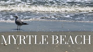 Road Trip on the Carolinian and Myrtle Beach Vlog