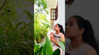 Slow Mornings | #minivlog #slowliving #srilanka #india #morningroutine