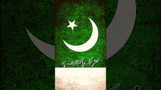 Pakistan zindabad #shorts #pakistan #14augustvideo #trendingshorts #youtubeshorts #viralvideo