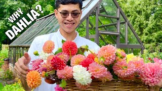 Arranging Bud Vases with Dahlias from my Garden